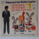 Thierry et les petits lapins