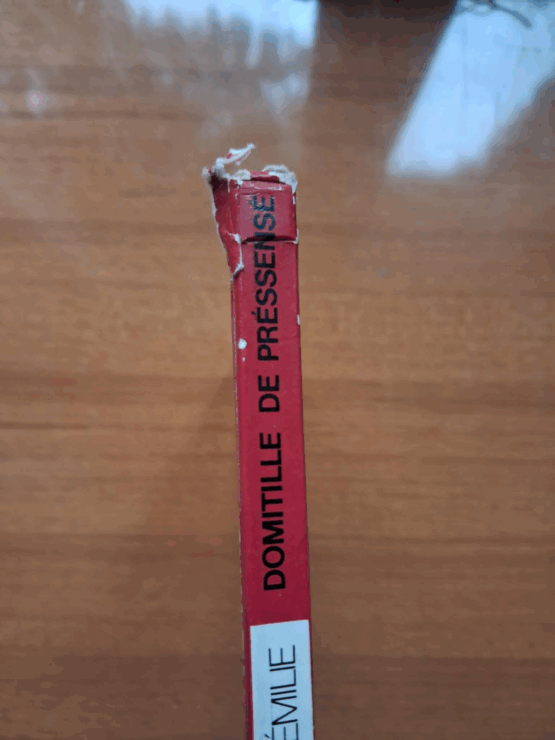 Trois aventures d'Emilie – Image 5